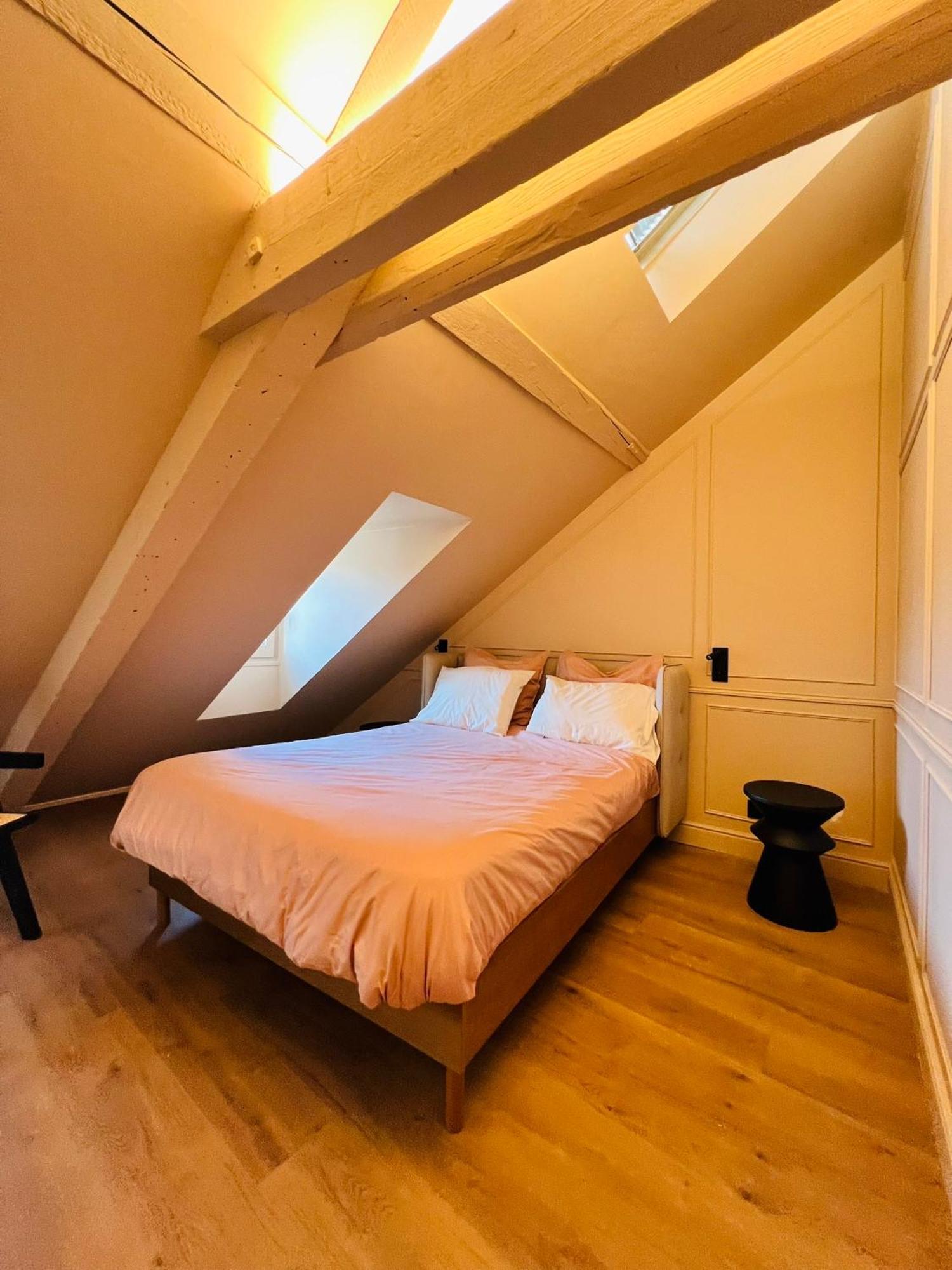 Chez Sandrine, Mon Appartement Elegant + Parking Strasbourg Exterior photo